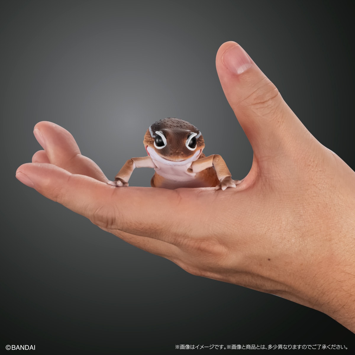 いきもの大図鑑アドバンス　ニシアフリカトカゲモドキ