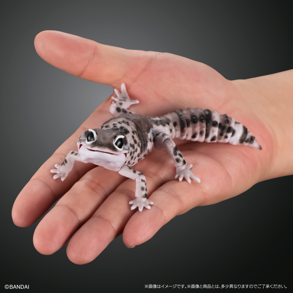 いきもの大図鑑アドバンス　ニシアフリカトカゲモドキ